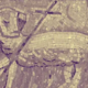 crucifixion of the warrior god