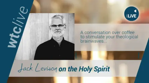 Levison Holy Spirit