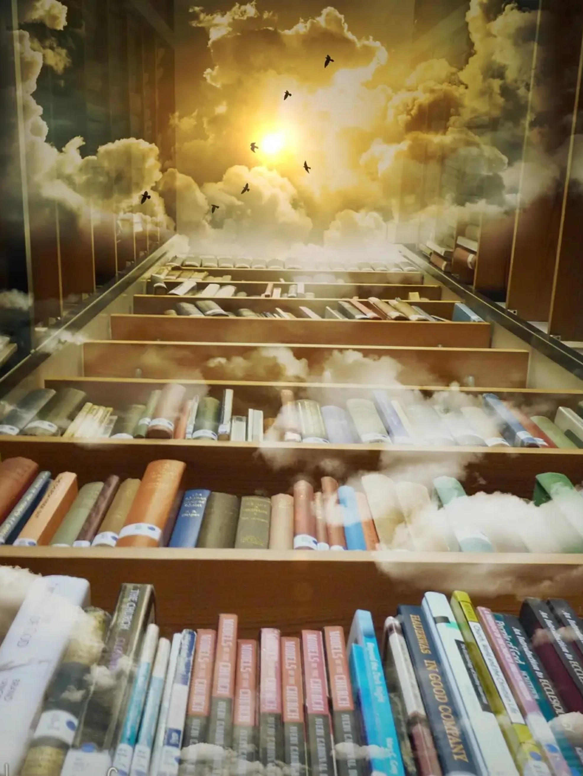 Coming out of complementarianism