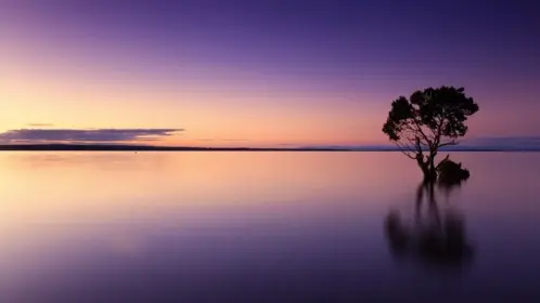 sunset-1373171_1280