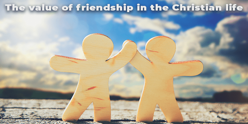 Value of Friendship - TheoMisc Blog