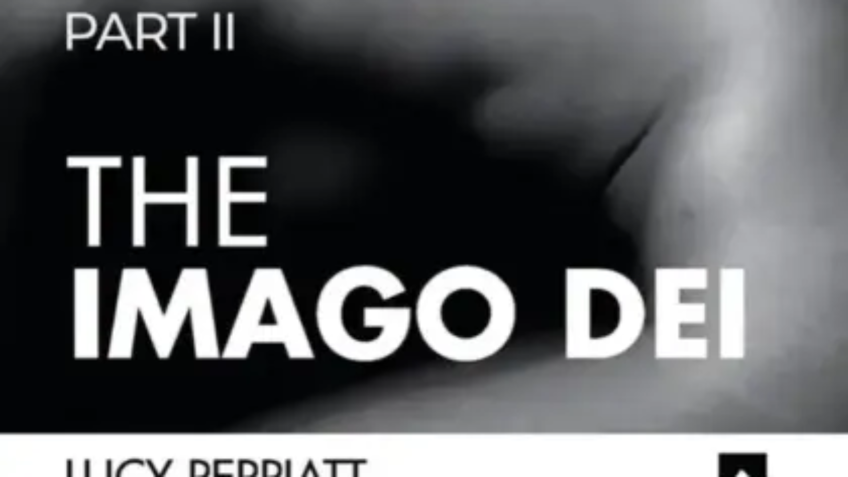 Image of Lucy Peppiatt's Imago Dei book cover