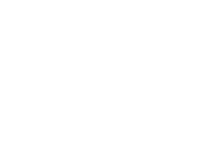 Birmingham Newman logo